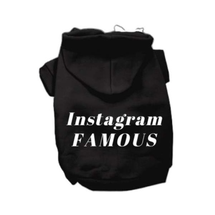 Black - IG Famous Hoodie - Medium