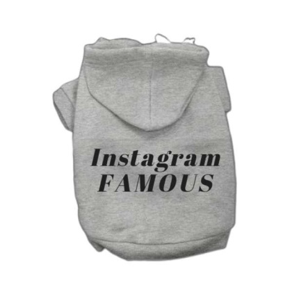 Grey - IG Famous Hoodie - X Small