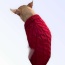 WINE RED - Knit Turtleneck Dog Sweater - Medium