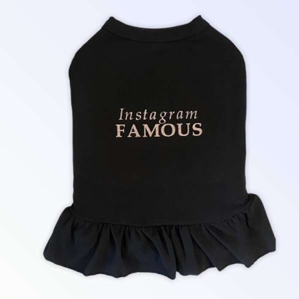 IG Famous Dress - Large