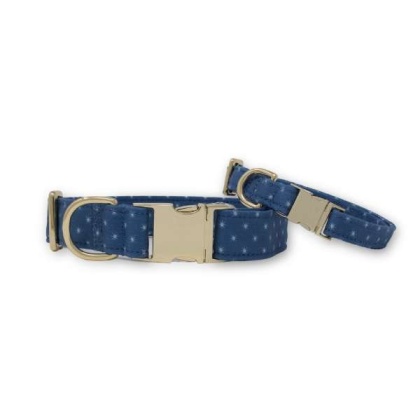 Starry Sky Classic Dog Collar - L