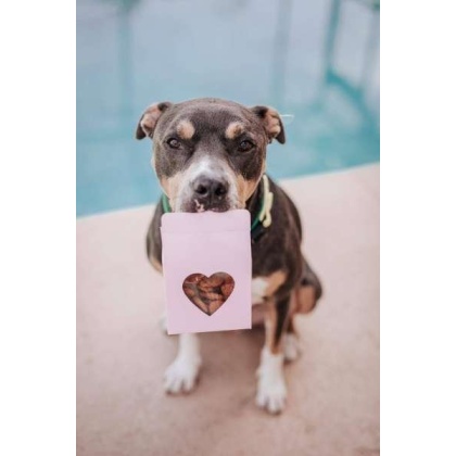 Heart(Beet) Boxes - Superfood Dog Treats