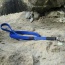 Blue - Boss Regular Leash - 3/4