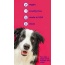 Rotisserie Chicken Flavor - Professional Pet Toothpaste  - Large