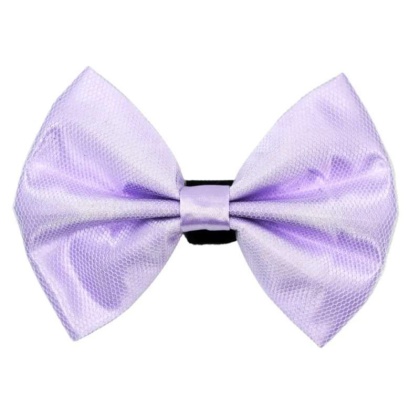 3 - PR3004|Pets Ribbons - 2\