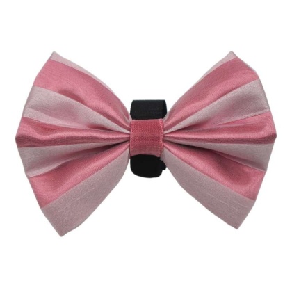 12 - PR3006|Pets Ribbons - 2\