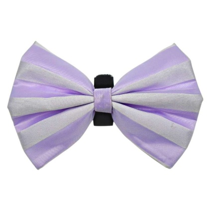 10 - PR3006|Pets Ribbons - 5\