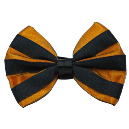 Orange - PR3006HS|Pets Ribbons - 3\