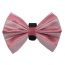 Pink/White - PR3006VA|Pets Ribbons - 2