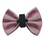 Pink/White - PR3006VA|Pets Ribbons - 5