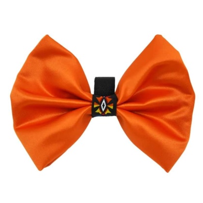 Orange - PR3007|Pets Ribbons - 2\