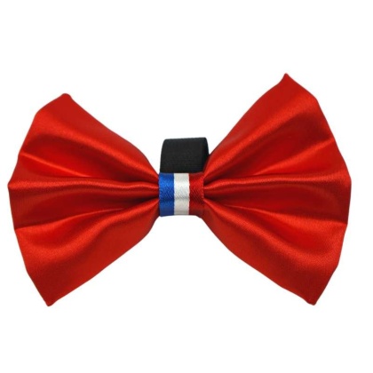 Red - PR3009|Pets Ribbons - 2\