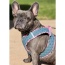 Denim & Pink Plaid - Step-In Denim Harness - XS