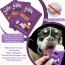 Wipe and Go Pet Wipes