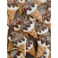 Barkin & Robbins Ice Cream Cookie