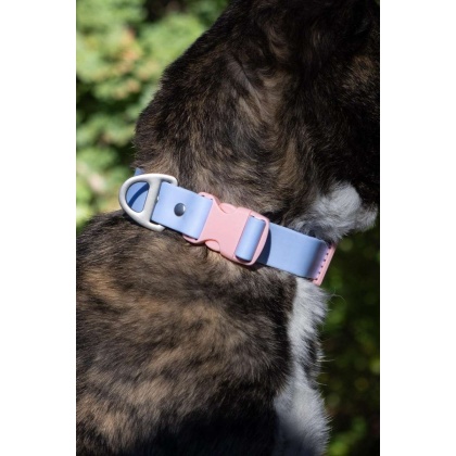 Blue Sky Orchid Waterproof Dog Collar - 15 - 17 inch