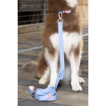 Periwinkle / Pink - Blue Sky Orchid Waterproof Leash