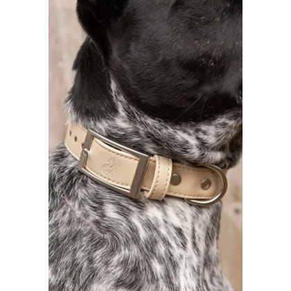 Champagne Fizz Vegan Leather Dog Collar - 13 - 15 inch