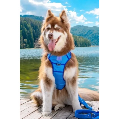 Dockside Adventures Ultimate Harness - Medium