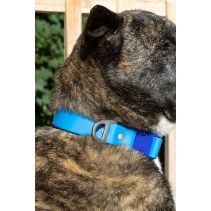 Dockside Adventures Waterproof Dog Collar - 17 - 20 inch