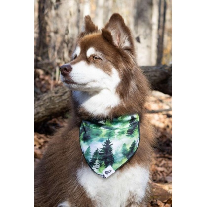 Evergreen Explorer Dog Bandana - M/L - 27in x 13in