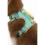 Island Vibes Ultimate Dog Harness - Medium