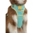 Island Vibes Ultimate Dog Harness - Large