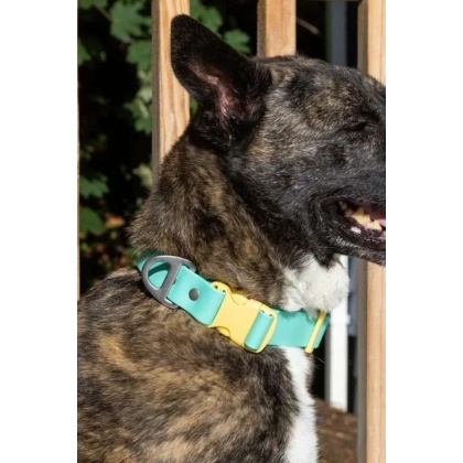 Island Vibes Waterproof Dog Collar - 15 - 17 inch