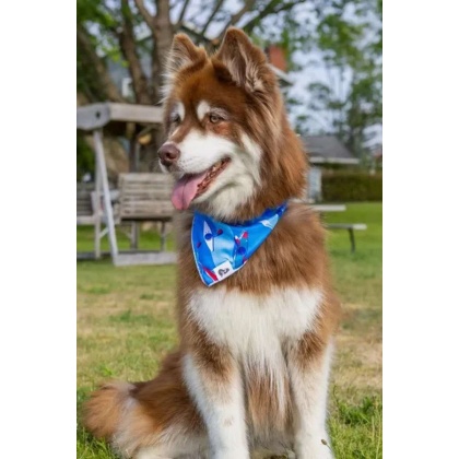 K9 Kayak Dog Bandana - XL - 35in x 17in