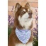 Lavender Blooms Dog Bandana - M/L - 27in x 13in