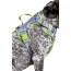 Lavender Garden Ultimate Dog Harness - Medium