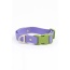 Lavender Garden Waterproof Dog Collar - 13 - 15 inch