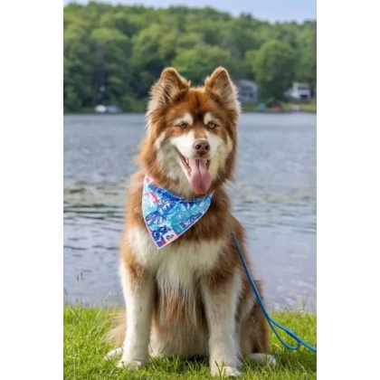 Painted Peaks Dog Bandana - XL - 35in x 17in