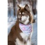 Pink and Blue Tribal Dog Bandana - XL - 35in x 17in