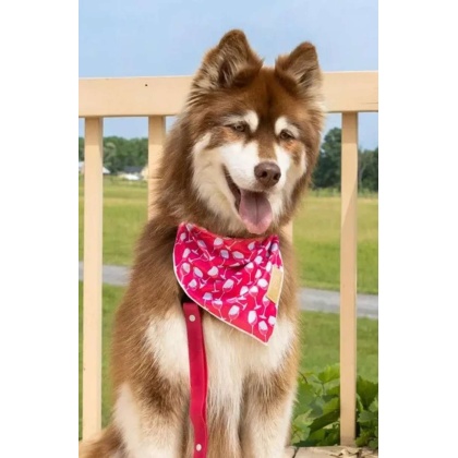 Red Mountain Syrah Dog Bandana - S/M - 18in x 10in