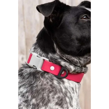 Red Mountain Syrah Waterproof Dog Collar - 13 - 15 inch