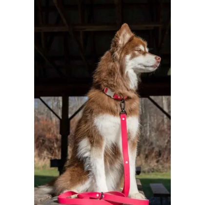 Fuchsia - Red Mountain Syrah Waterproof Dog Leash