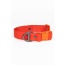 Scarlet Peaks Waterproof Dog Collar - 17 - 20 inch