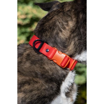 Scarlet Peaks Waterproof Dog Collar - 20 - 26 inch