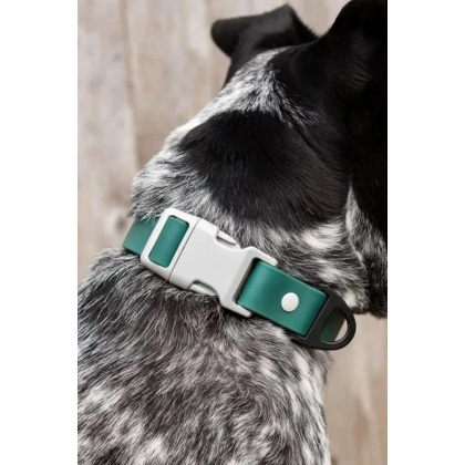 Siberian Spruce Waterproof Dog Collar - 11 - 13 inch