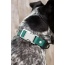 Siberian Spruce Waterproof Dog Collar - 13 - 15 inch