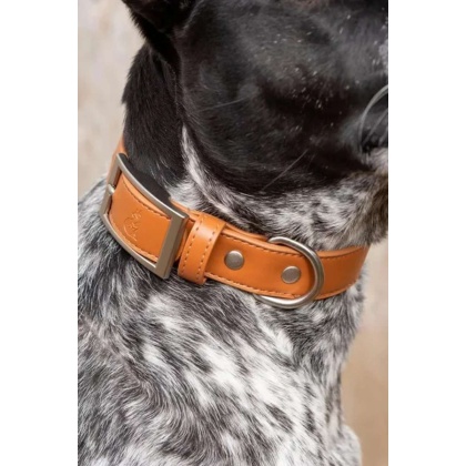 Sierra Sunrise Vegan Leather Dog Collar - 13 - 15 inch