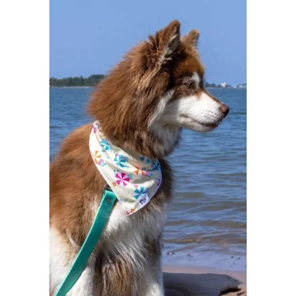 Sun & Shade Dog Bandana - M/L - 27in x 13in