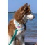 Sun & Shade Dog Bandana - M/L - 27in x 13in