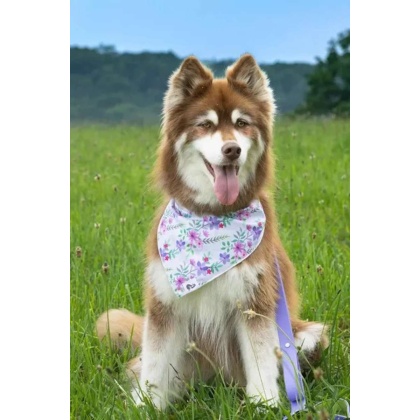 Wildflower Meadow Dog Bandana - M/L - 27in x 13in