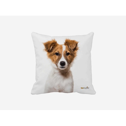 Australian Shepard Puppy Throw Pillow