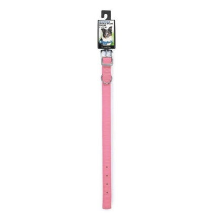 DGR 1in Nylon Collar 22in Pink