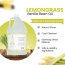 Gallon Shampoo Lemongrass Vanilla Bean