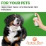 4.5 Oz. Dog Coat Spray Rosemary Tea Tree