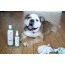 4.5 Oz. Dog Coat Spray Rosemary Tea Tree